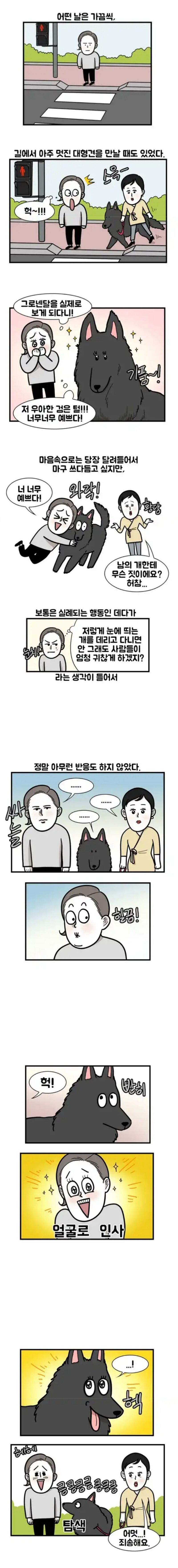 길가다 만난 대형견.manhwa | 인스티즈