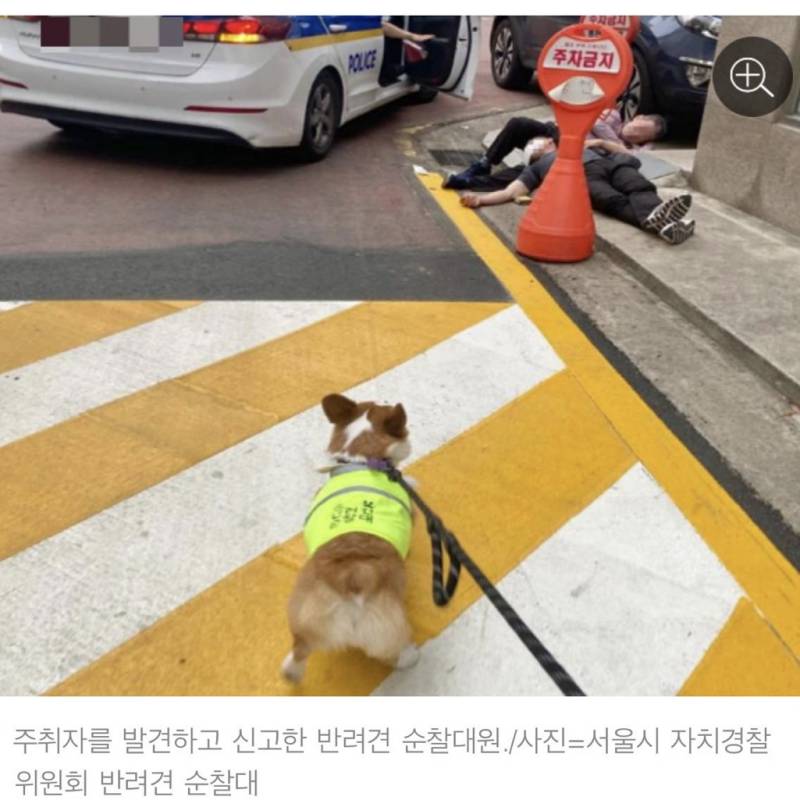 [잡담] 인포 반려견순찰대 술취한 아저씨들 개웃김 ㅜㅜㅜ | 인스티즈