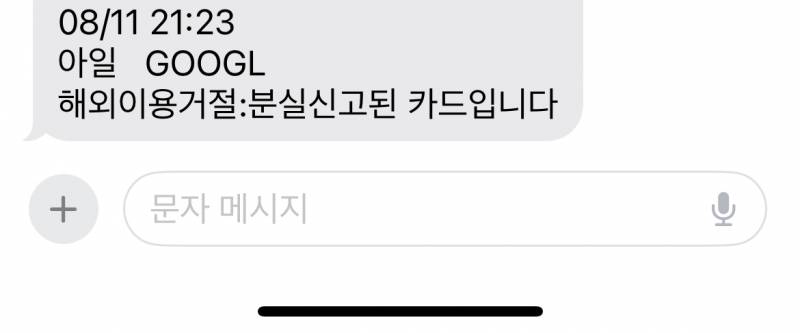 [잡담] 분실카드 해외결제 시도 문자 왔는데 이거 어떻게 해결해야 해? | 인스티즈