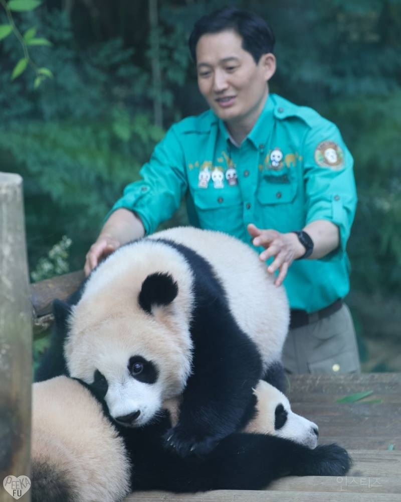 후이가 삐져서 갔을 때 미안했다는 툥바오🐼👨‍🌾 | 인스티즈