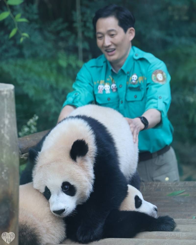 후이가 삐져서 갔을 때 미안했다는 툥바오🐼👨‍🌾 | 인스티즈