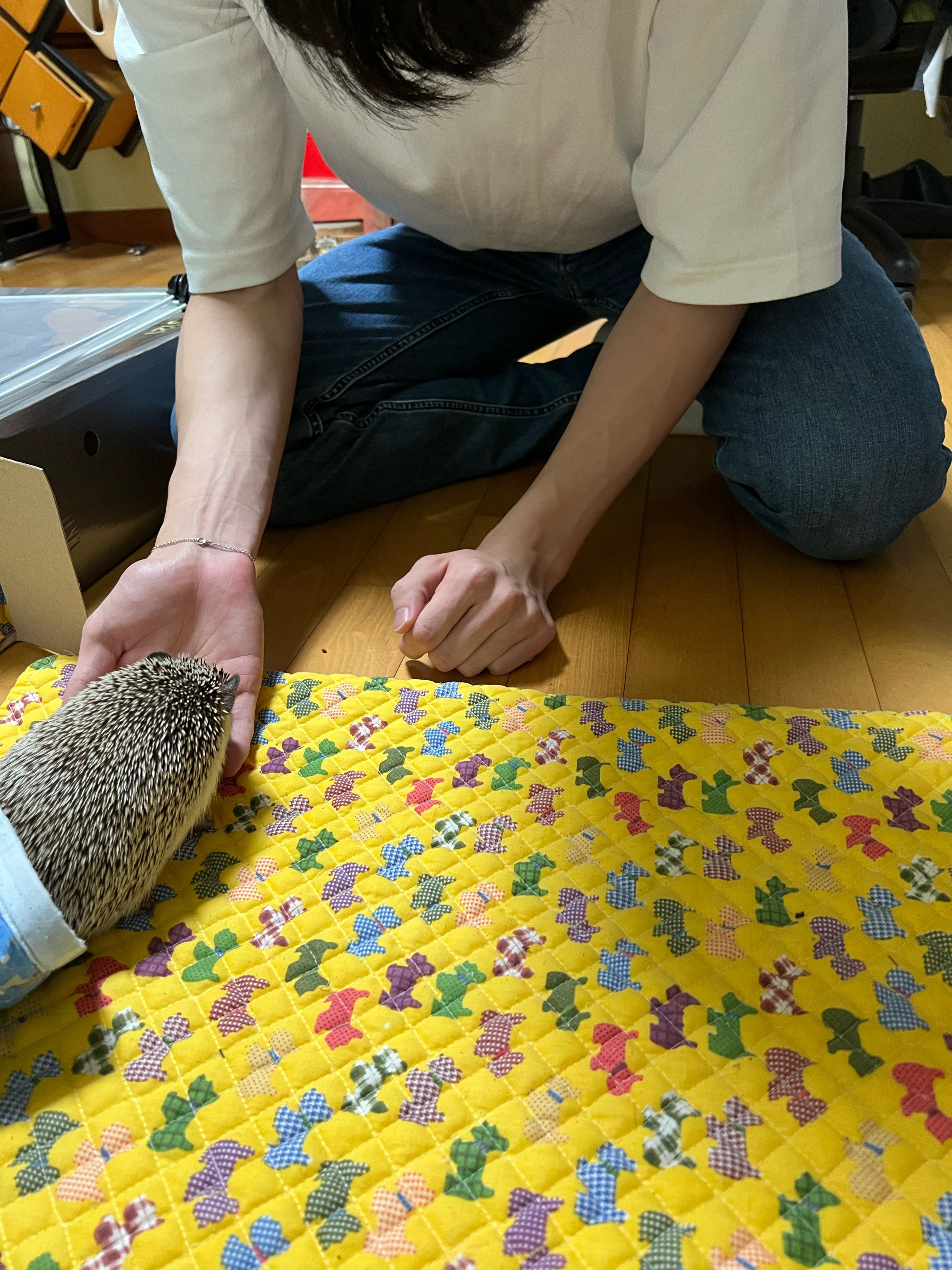 [잡담] 와 진짜 새삼ㅋㅋㅋ 수빈이랑 휴닝이 찐 껌딱지구나 | 인스티즈