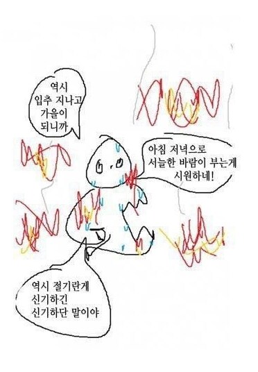 요즘 한국사람 특징.jpg | 인스티즈