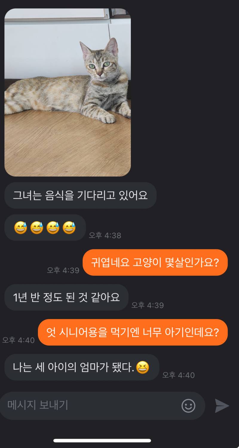 [잡담] 고양이집사이신 외국인분과 당근하는데 아 ㅋㅋㅋㅋㅋㅋㅋㅋ | 인스티즈