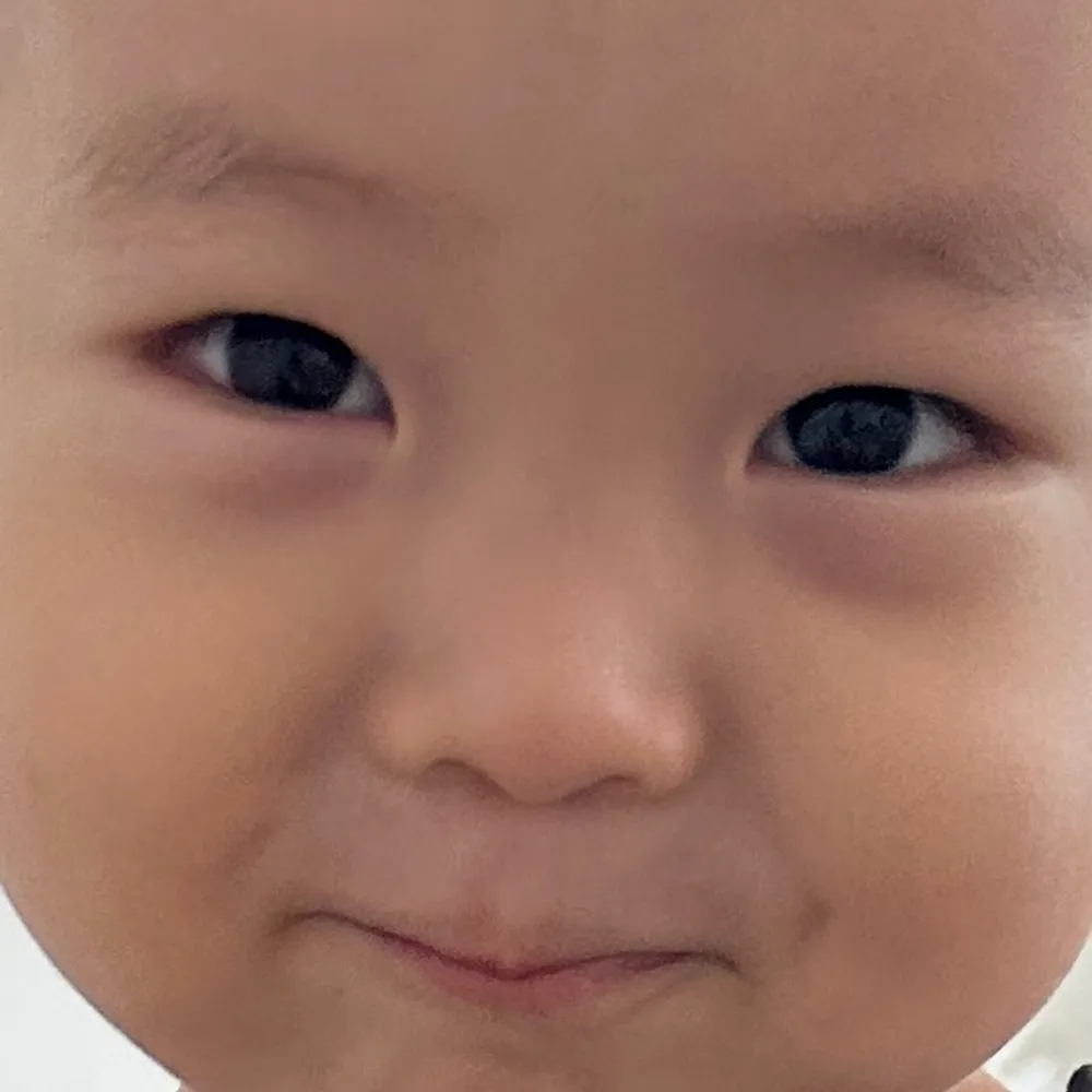 [잡담] 요즘 이 두 아가 때문에 몬살아👶(심장아픔 주의) | 인스티즈