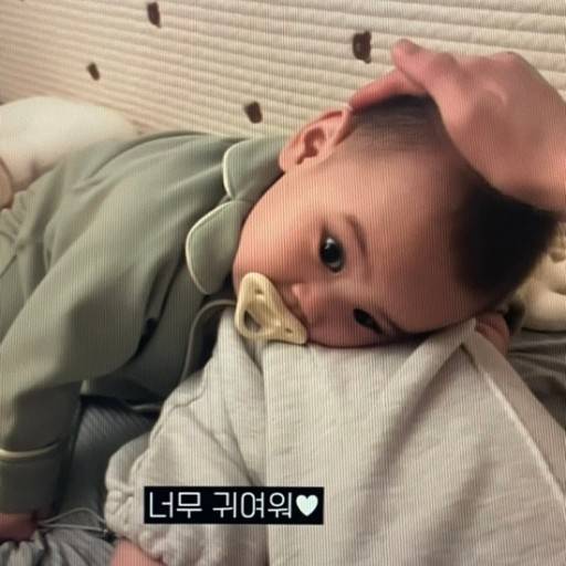 [잡담] 요즘 이 두 아가 때문에 몬살아👶(심장아픔 주의) | 인스티즈