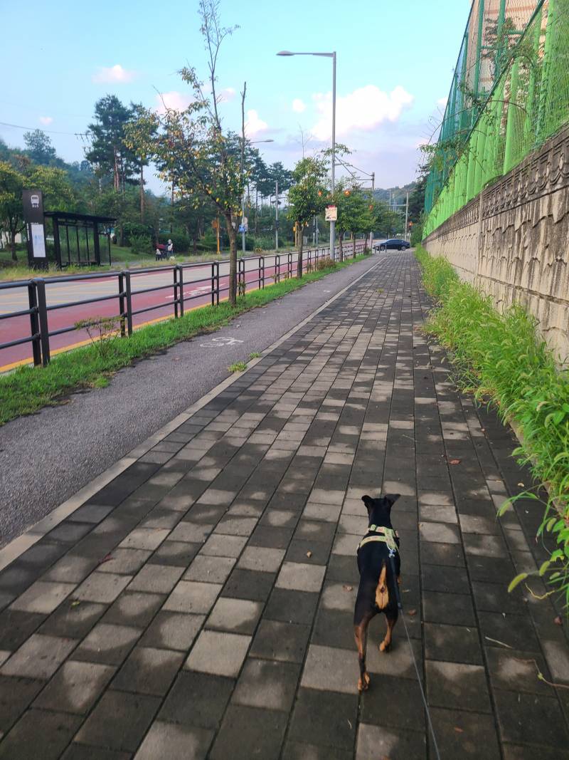 [잡담] 밖에 에어컨튼것같다.. 진짜 시원함 | 인스티즈