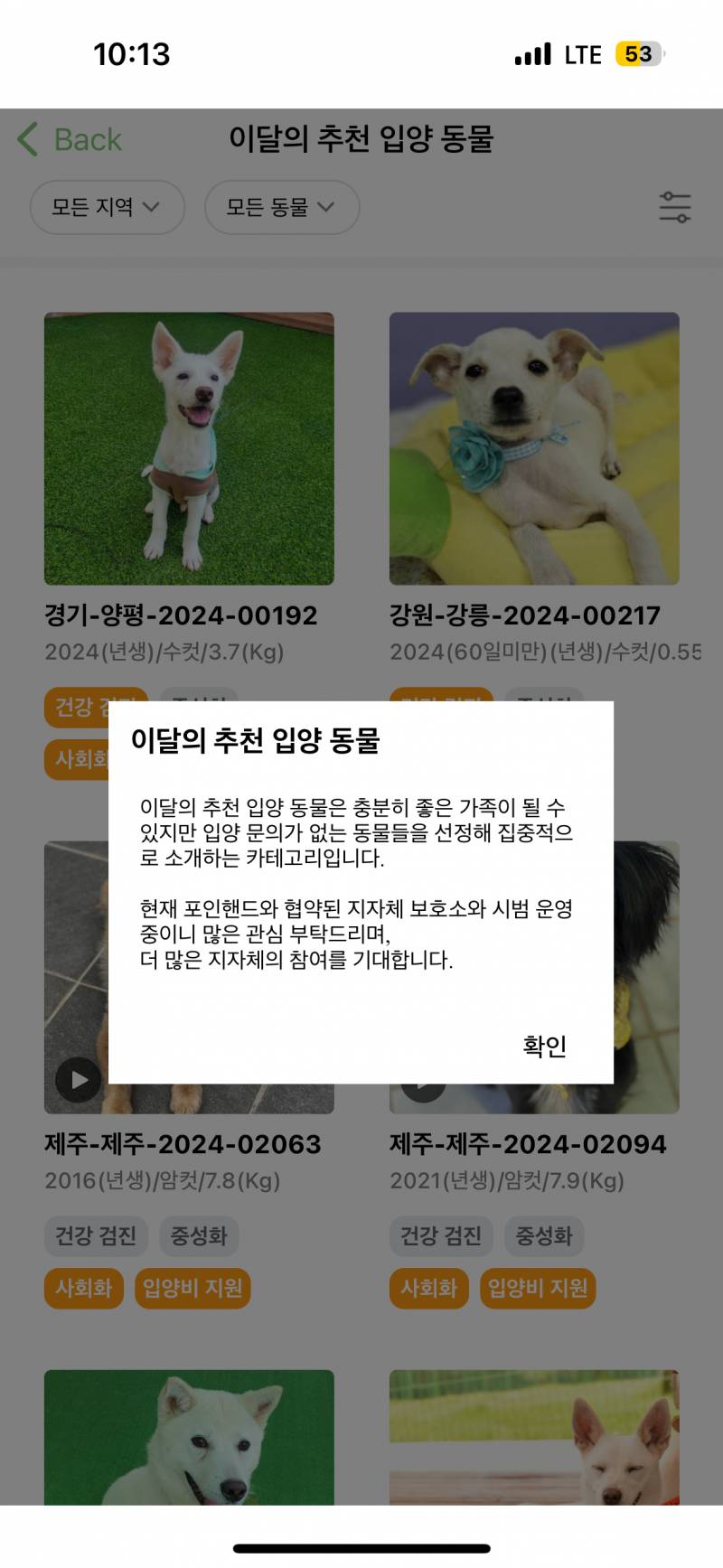 [잡담] 포인핸드 들어갔는데 이달의 추천 입양동물ㅠㅠ 넘 맘아파 | 인스티즈