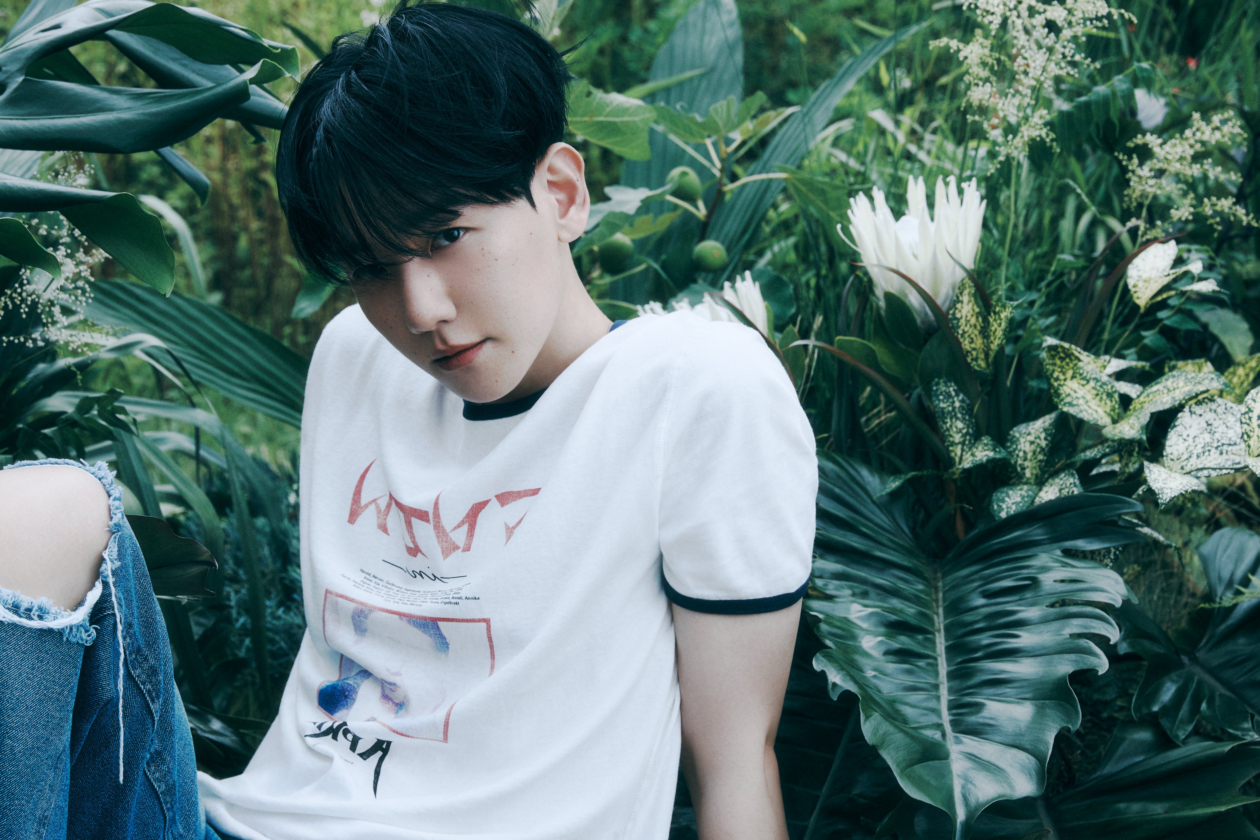 [정보/소식] 백현 (BAEKHYUN) Concept Photo | World Ver | 인스티즈