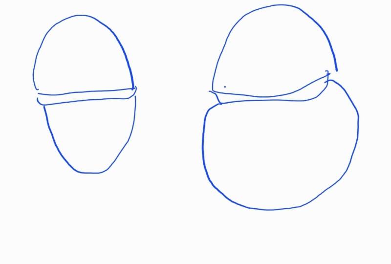 [잡담] 예쁜 사람이 모자 썼을 때 vs 나 | 인스티즈