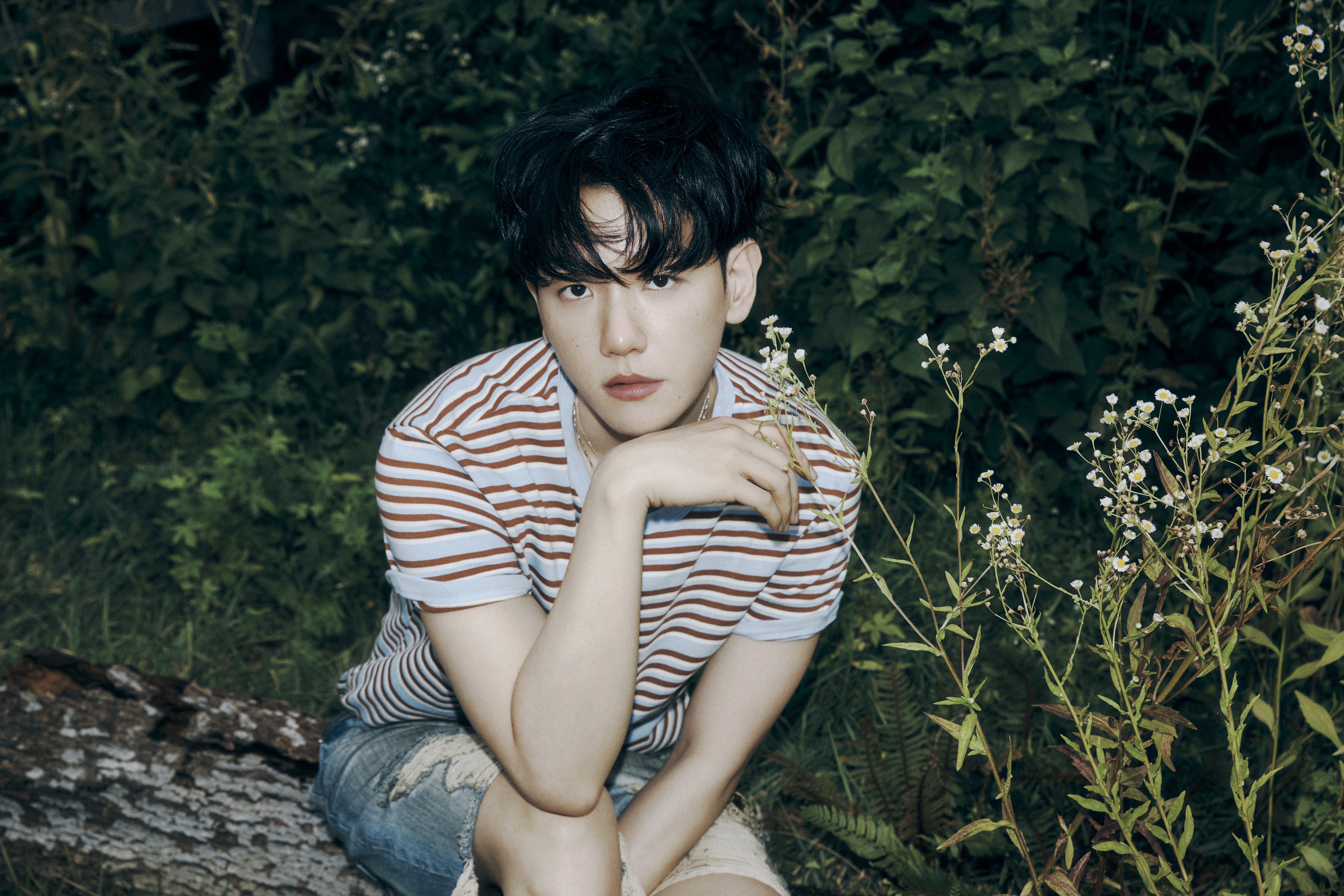 [정보/소식] 백현 (BAEKHYUN) Concept Photo | World Ver | 인스티즈