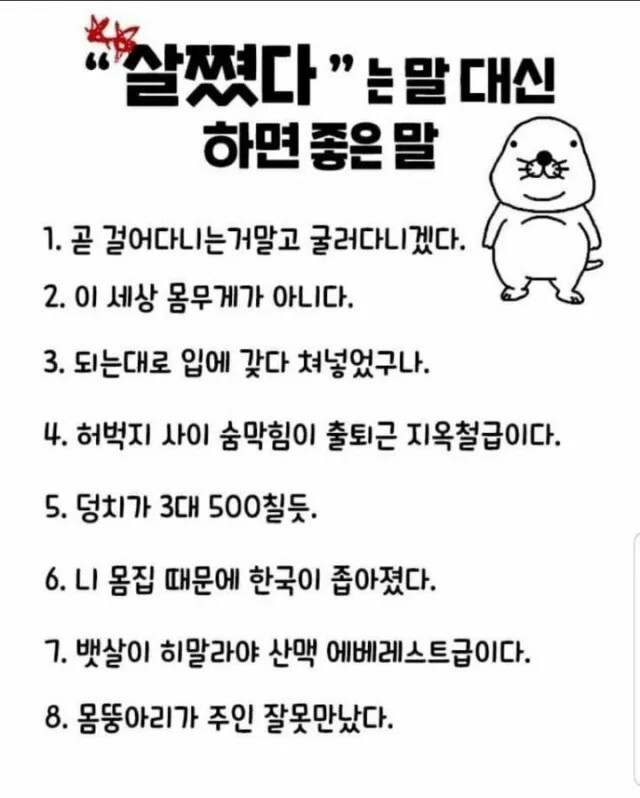 살쪘다는 말대신 하면 좋은 말들.jpg | 인스티즈