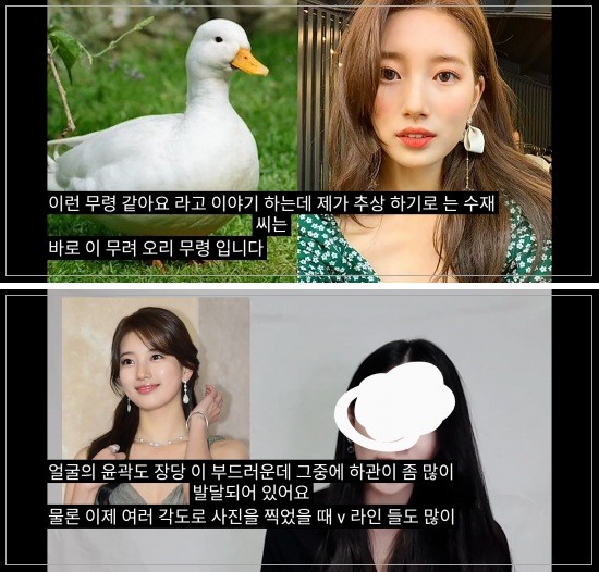 [마플] 수지 관상으로 볼 때 토끼상 아니고 오리상이래 | 인스티즈