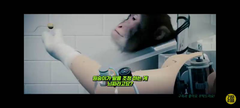 [잡담] 뇌파조작 남녀갈등 신체 외모비하 이미 2009년부터 예견된거임 | 인스티즈