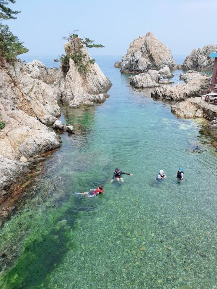 한국의 나폴리로 불리는 삼척 장호항 | 인스티즈