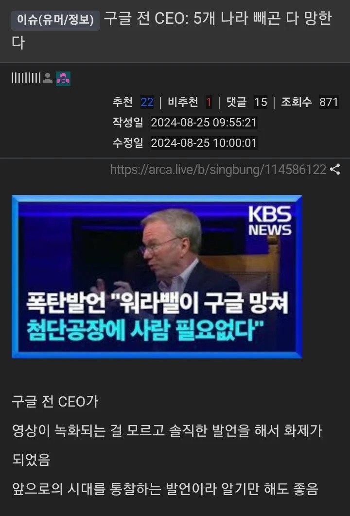 [잡담] 구글 전 ceo가 앞으로 안 망할 나라 5개밖에 없대 | 인스티즈