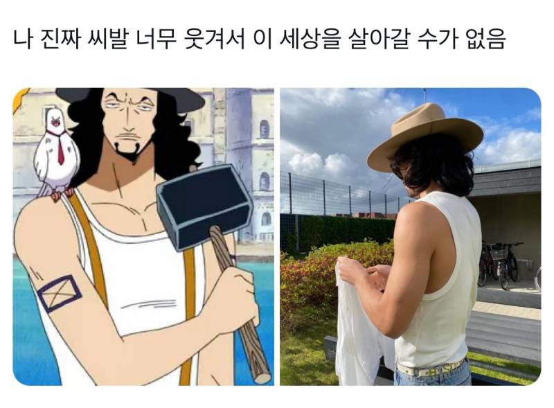 [잡담] 조규성이랑 저 캐릭터 원피스에 나온 건가 암튼 닮았다 | 인스티즈