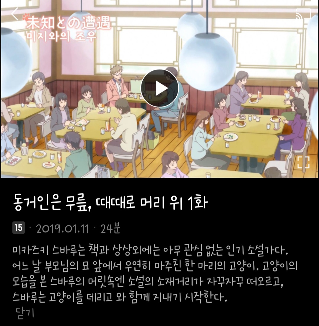 머글들한테 추천하고 싶은 애니 | 인스티즈