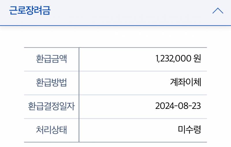 [잡담] 근로장려금 29일에 확인가능하다며....!!! 확인함ㅎㅎㅎ | 인스티즈