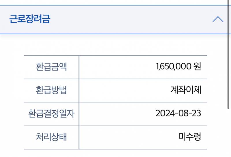 [잡담] 근로장려금 여기 뜨면 무조건이야..? | 인스티즈