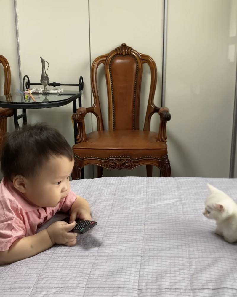 [잡담] 요즘 내가 너무 빠져있는 아기 귀여워 미쳐버림 | 인스티즈