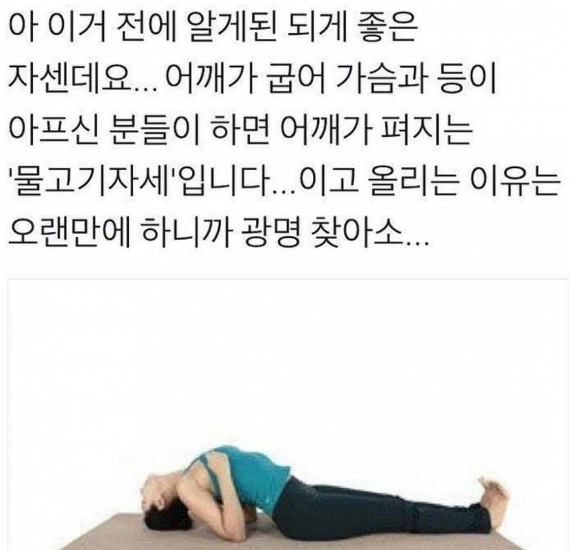 [잡담] 우리엄마 어깨랑 등 아프대서 이거 보내줬는데 효과있대! | 인스티즈