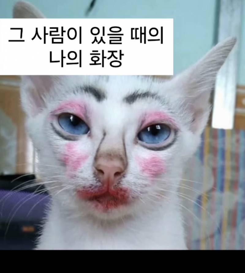 [잡담] 아니 이거 개웃기넼ㅋㅋㅋㅋㅋㅋㅋ | 인스티즈