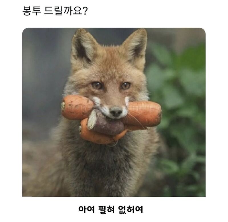 봉투 드릴까요?.jpg | 인스티즈