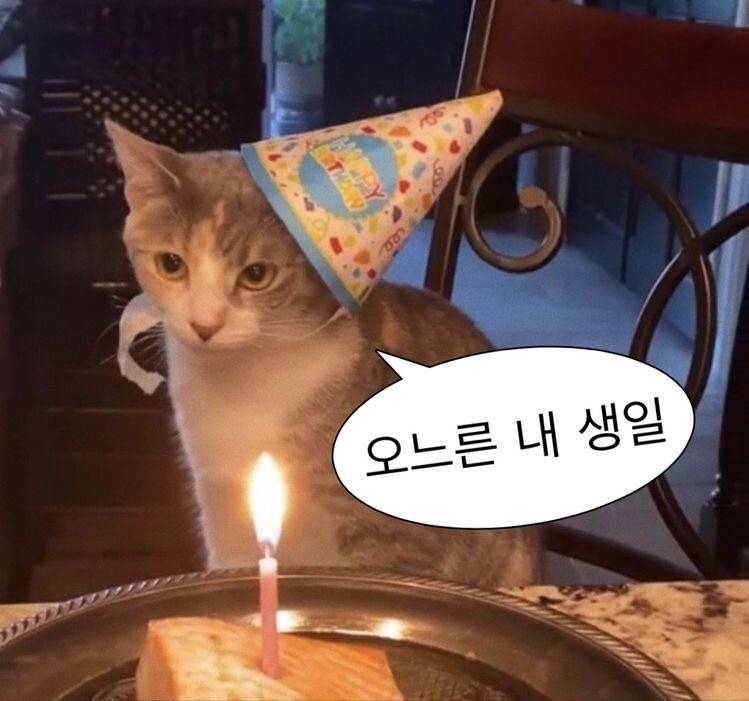 [잡담] 오늘 생일인데 프사할 짤 골라주랑 ㅎㅎ | 인스티즈