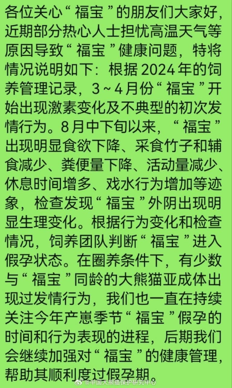 [잡담] 센터에서 그러는 푸바오 지금 위임신이라고 했대 | 인스티즈