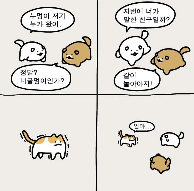 힐링되는 시골강아지 누멍이.manhwa | 인스티즈