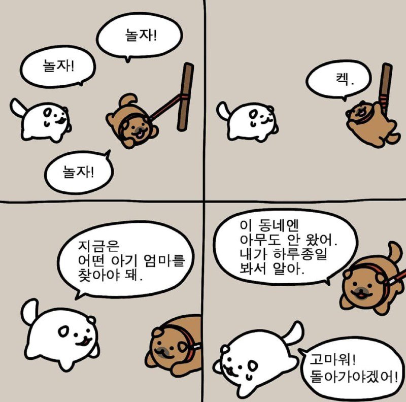 힐링되는 시골강아지 누멍이.manhwa | 인스티즈