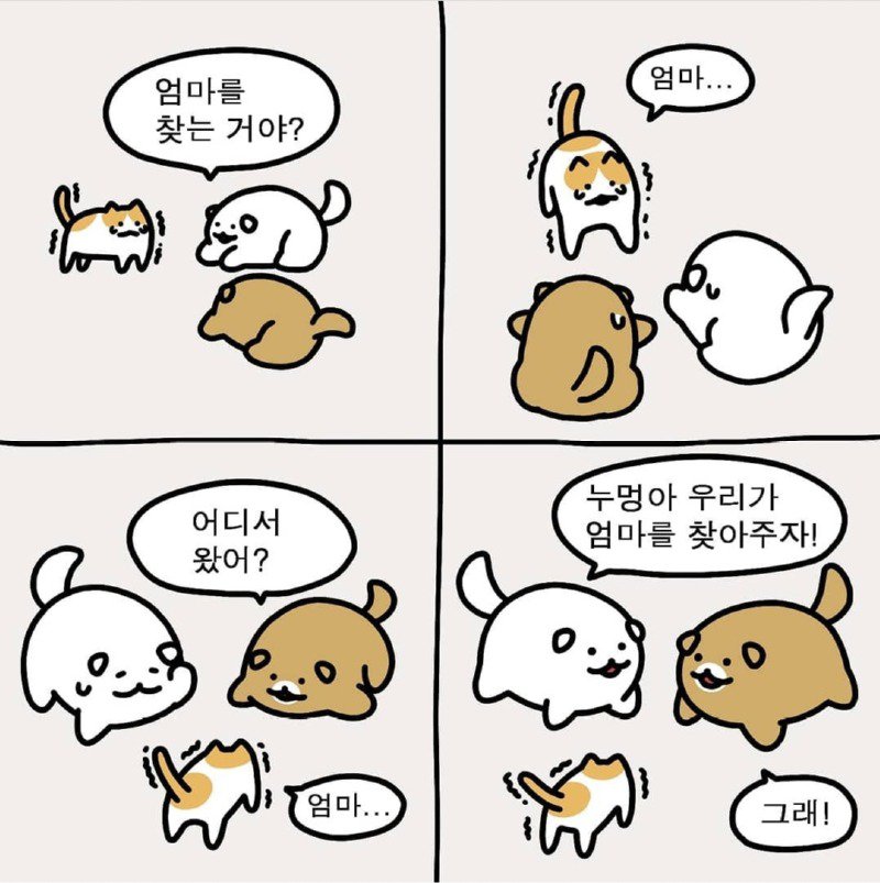 힐링되는 시골강아지 누멍이.manhwa | 인스티즈