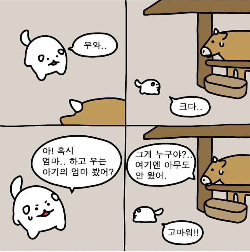 힐링되는 시골강아지 누멍이.manhwa | 인스티즈