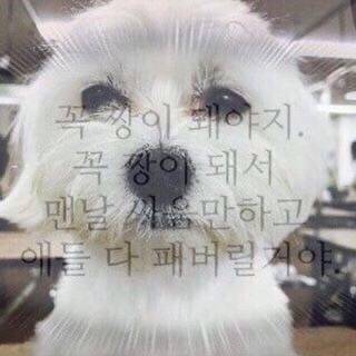 [잡담] 미대졸업하고ㅠ강사일도했던 사람이&lt;&lt;&lt;&lt;❓❓👀👀 | 인스티즈