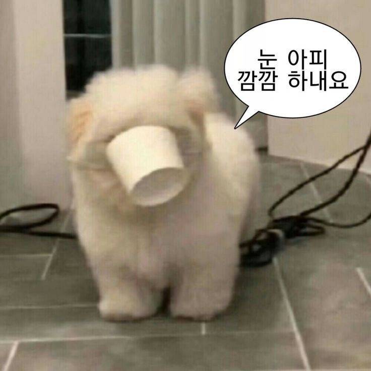 (연애상담) 얘들아 얘 나 갖고 노는거야?ㅠ | 인스티즈