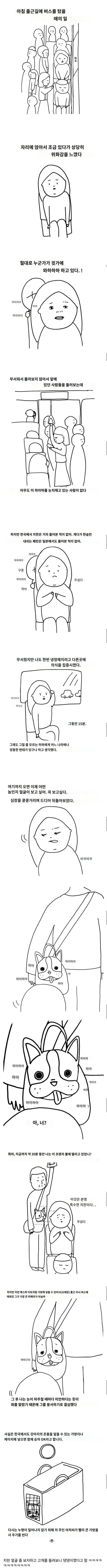 한국 버스에서 치한을 만난 일본인.manhwa | 인스티즈