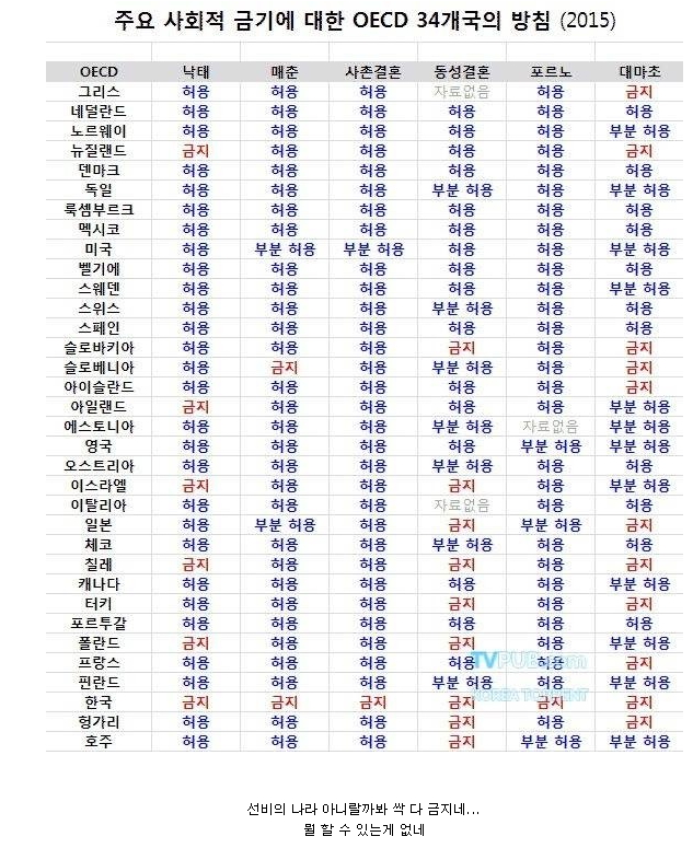 [정보/소식] 한국에서만 안되는 것들 | 인스티즈