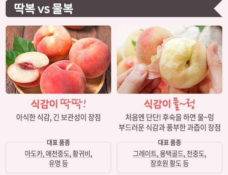 엔믹스 설윤이 무조건 물복을 좋아한다는 이유…x | 인스티즈