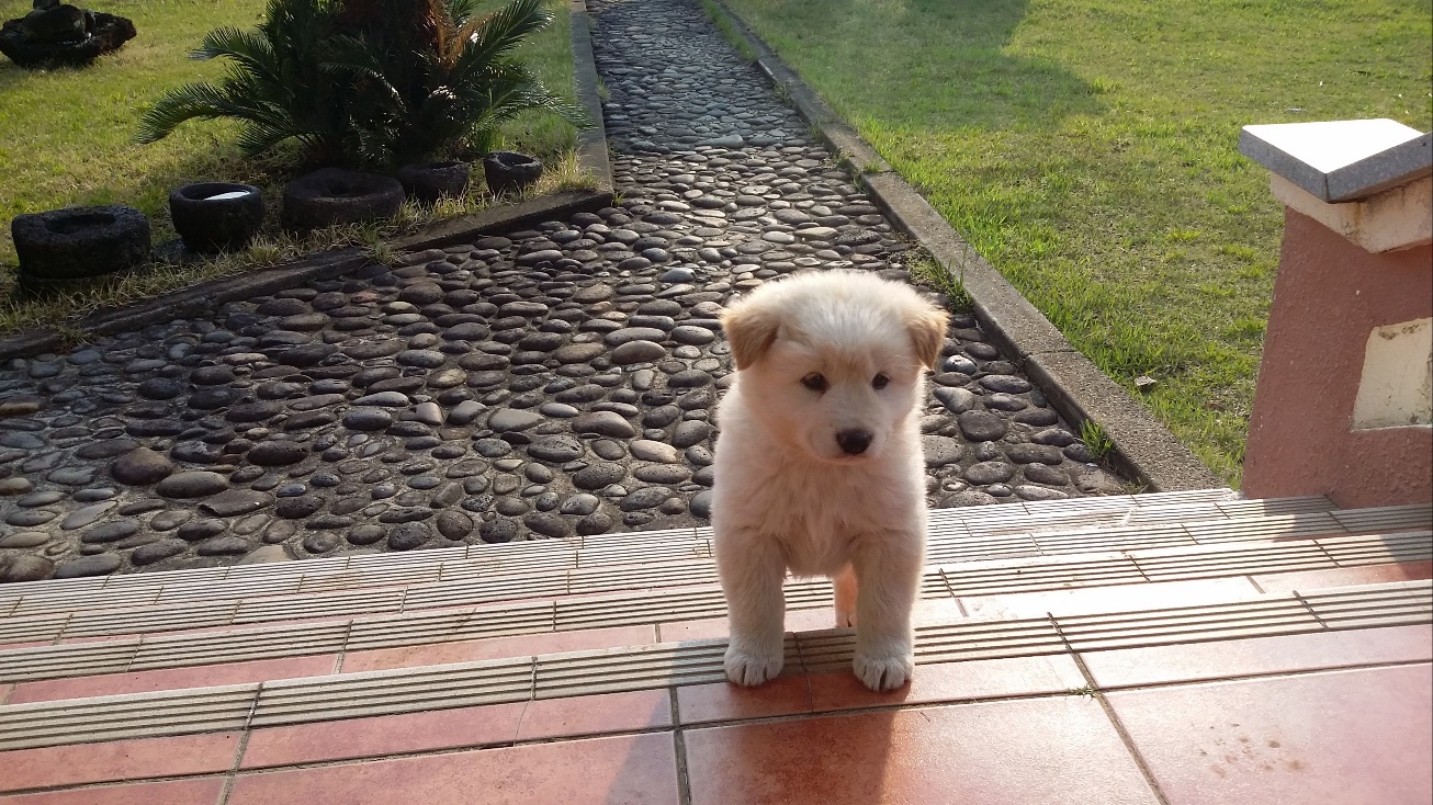 [잡담] 우리집 시골인데 몰래 들어온 침입자 좀 보셈🥺🥺🥺🥺 | 인스티즈