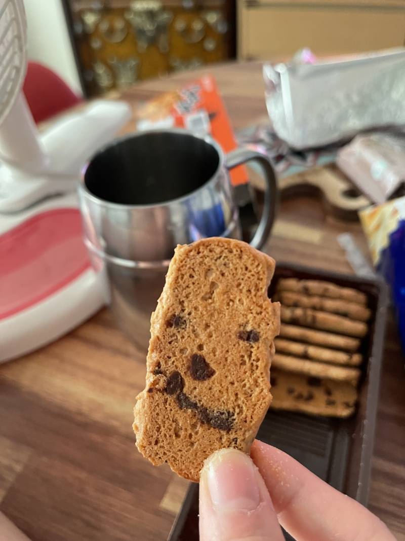 [잡담] 너네 초코칩이 웃는거 봤음??🍪🍪 | 인스티즈