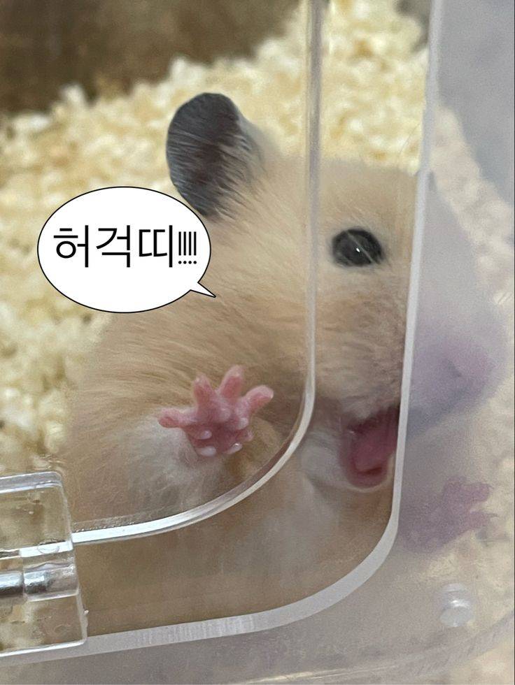 [잡담] 머리 ㄹㅈㄷ로 얼룩졌는데 어카지 | 인스티즈