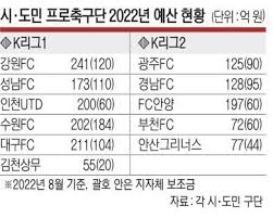 [잡담] 매년 1000억씩 세금으로 지원해서 굴리는게 한국축구임 | 인스티즈