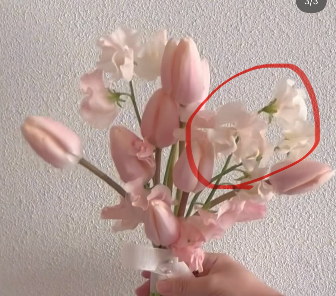 [잡담] 혹시 꽃 이름 잘 아는 사람 있어??🌷 이 꽃 이름 뭘까 도와줘🥹 | 인스티즈