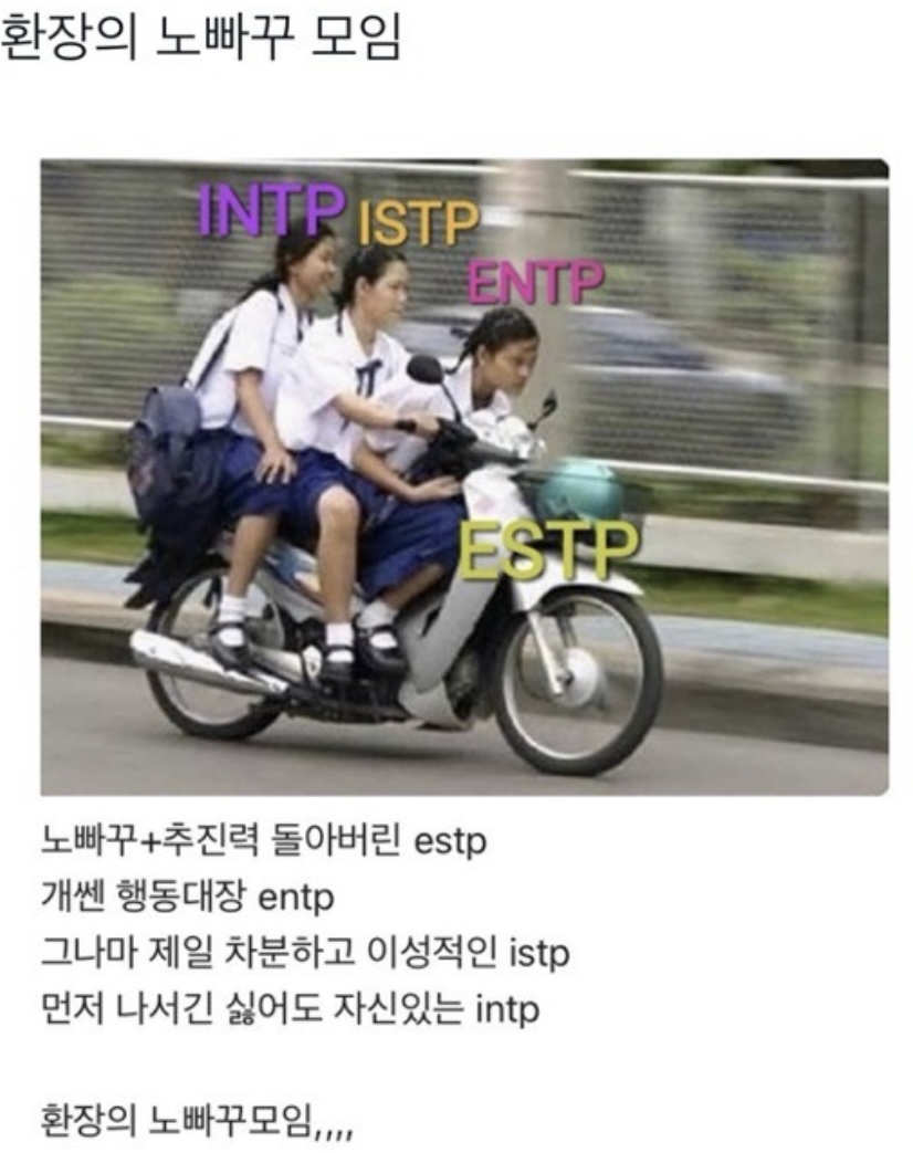 [잡담] 쇼타로 entp 됐다고? 라이즈 노빠꾸 조합 완성이다 | 인스티즈