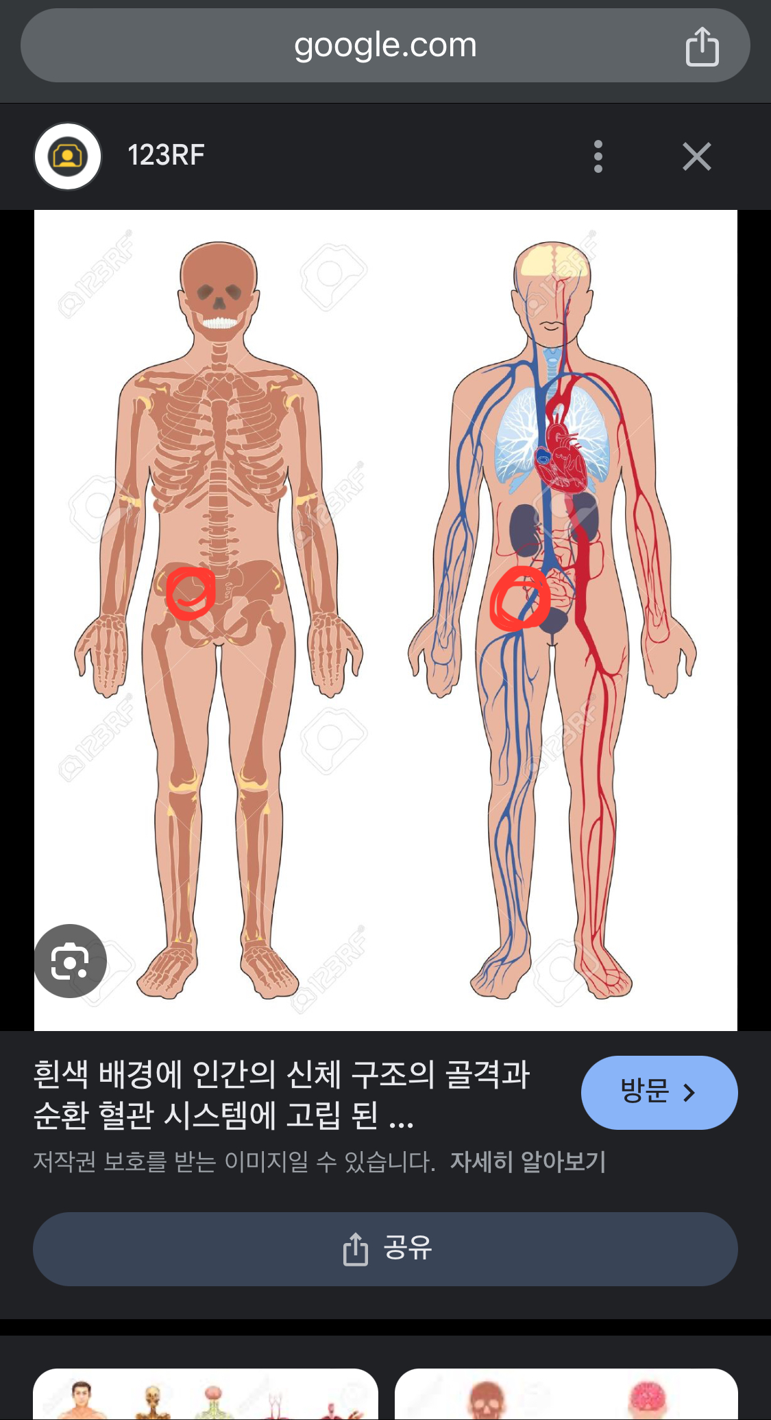 [잡담] 이 부분 아프면 어디가 안 좋은 건지 아는 사람? | 인스티즈