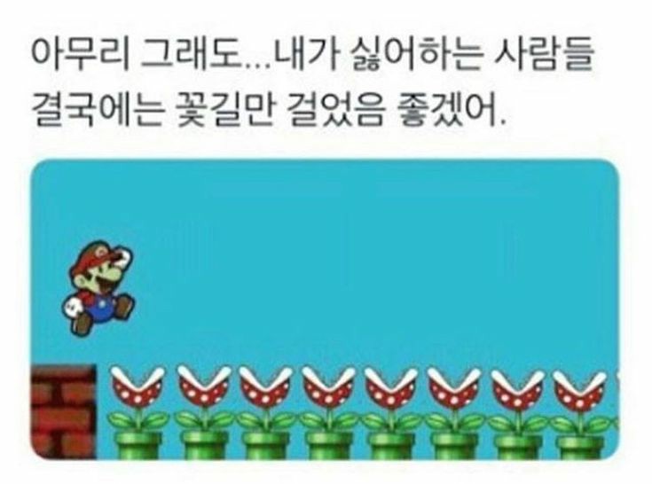 [잡담] 나만 걍 동네 미용실가냐❓ | 인스티즈