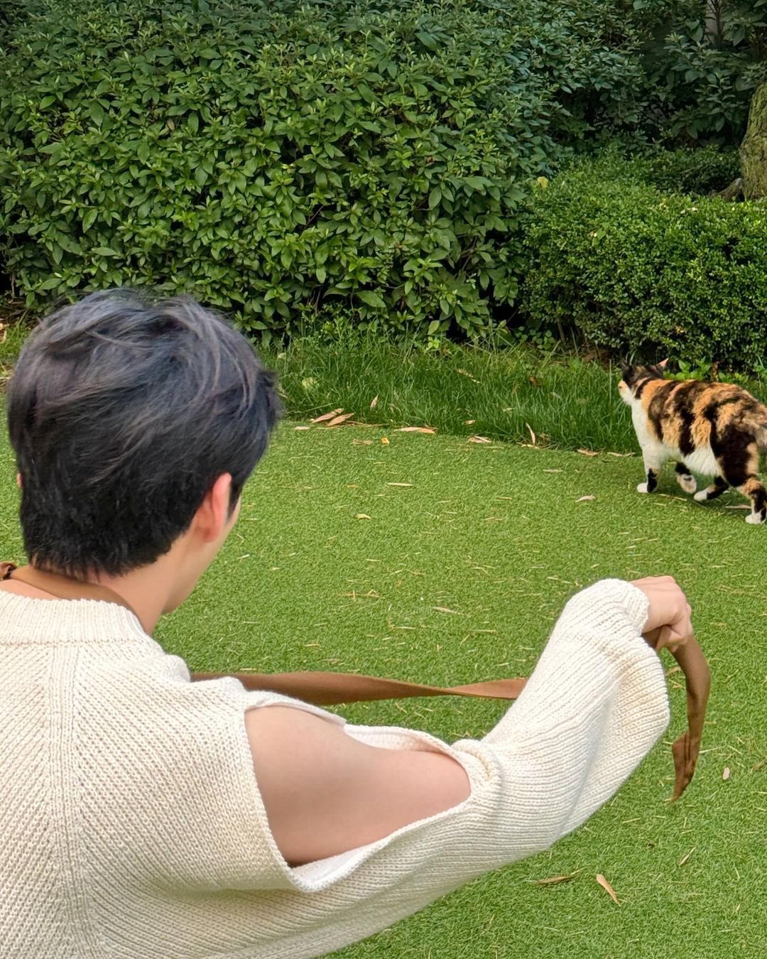 [잡담] 성한빈 고양이 따라다니는거봐 | 인스티즈