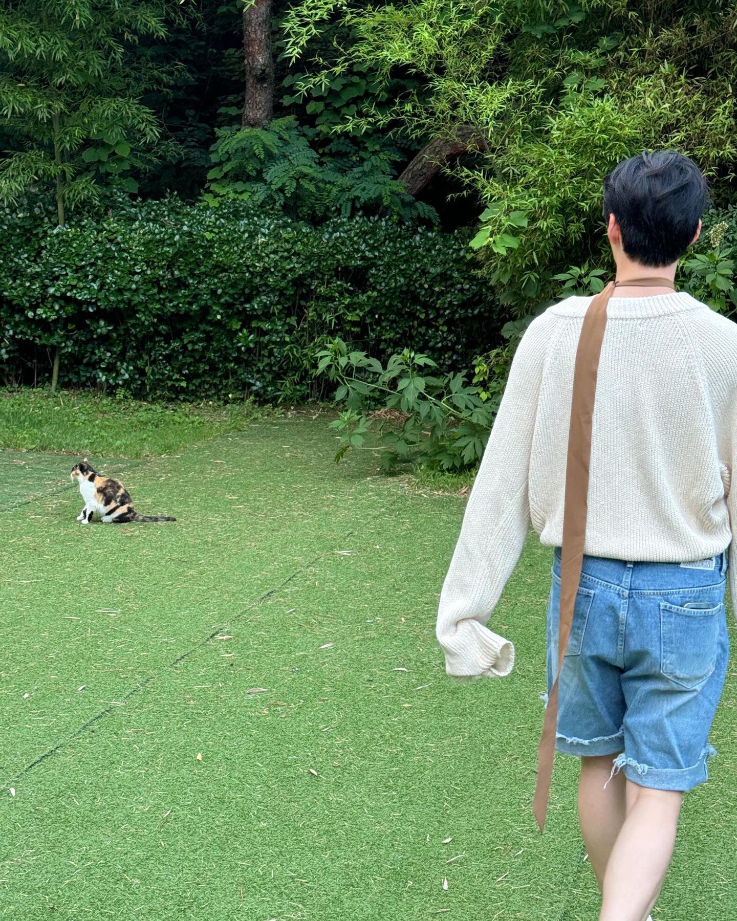 [잡담] 고양이 따라가는 성한빈🐈🐈 | 인스티즈