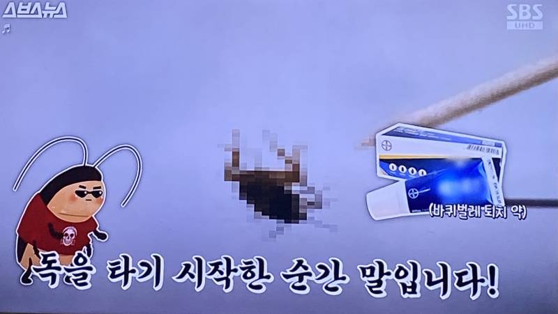 [잡담] 스브스 뭐야 내가 뭘보는 | 인스티즈